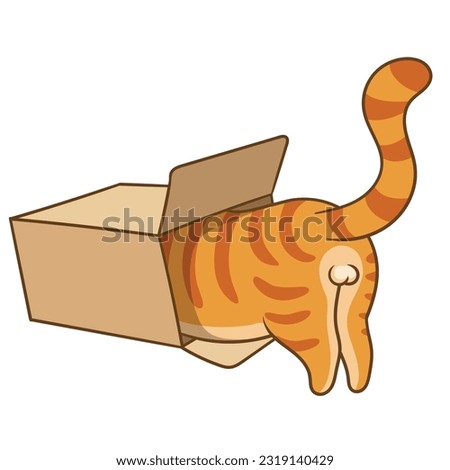 Cats sitting, sleeping and playing in cardboard box. Funny hiding kittens. Adopt homeless pet, vector art. Illustration animal kitten in box, feline cat pet.