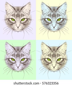 Cats. Sketch.