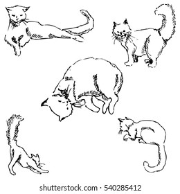 Cats. A sketch by hand. Pencil drawing