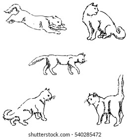 Cats. A sketch by hand. Pencil drawing