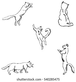 Cats. A sketch by hand. Pencil drawing