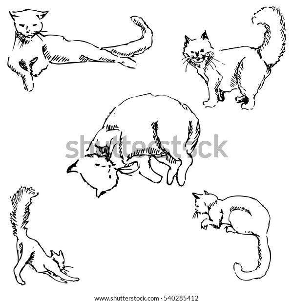 Cats Sketch By Hand Pencil Drawing Stock Vector (Royalty Free) 540285412