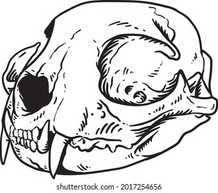 cats skull skeleton black white artwork 