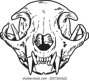 cats skull skeleton black white artwork