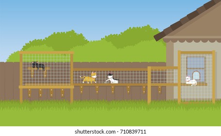cats sleeping and playing in outdoor enclosure in house yard area. cartoon style vector