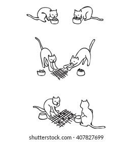 cats spend their time