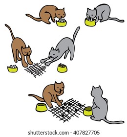 cats spend their time
