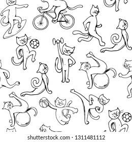 Cats sports pattern circuit