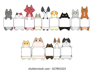 Cats standing with the card