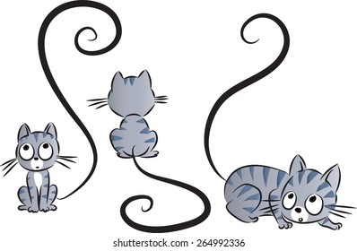cats tail