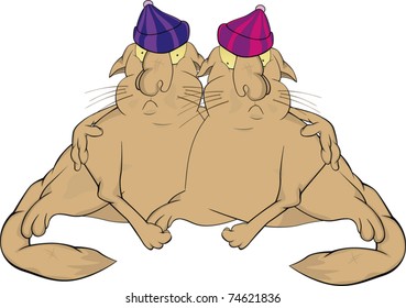 Cats twins . Cartoon