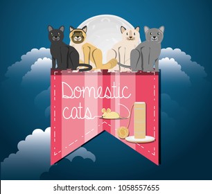Cats under the light of the moon