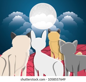 Cats under the light of the moon in the roof