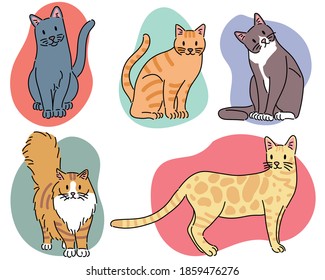 Gatos de diferentes razas. ilustraciones de diseño vectorial de estilo dibujado a mano. 