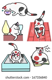 cat's various expressions
