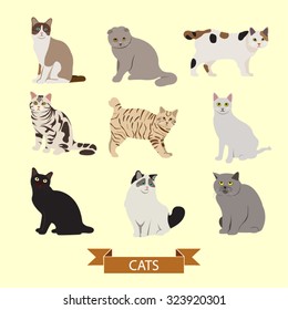 Cats Vector Design Illustration