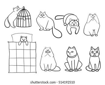 Cats, vector illustration 