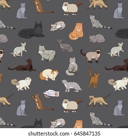 cats vector illustrations hand drawn doodle pattern