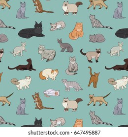 cats vector illustrations hand drawn doodle pattern