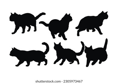 Katzen laufen in verschiedenen Positionen, Silhouette Set Vektor. Erwachsene Katze-Silhouette-Sammlung auf weißem Hintergrund. Schöne Haustiere wie Katzen und Katzen Ganzkörper-Silhouettenbündel.