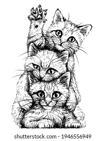 Cats. Wall sticker. Graphic, black and white sketch depicting three cute kittens on a white background. Digital Vector graphics.