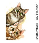 Cats. Wall sticker. Graphic, colored hand-drawn sketch with splashes of watercolor depicting two cute cats looking around the corner.