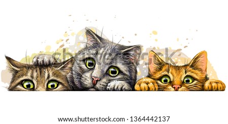 

Cats. Wall sticker. Graphic, colored hand-drawn sketch with splashes of watercolor depicting three cute cats on a horizontal surface.