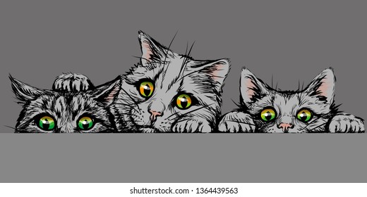

Cats. Wall sticker. Graphic, hand-drawn sketch in gray colors depicting three cute cats with bright eyes looking at a horizontal surface
