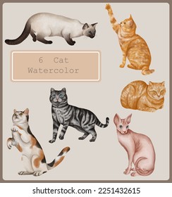 Cats Watercolor Animal watercolor Hand draw art illustration Set 1