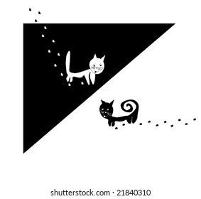 Cats: white and black