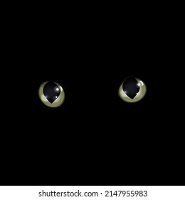 cat's yellow eyes in the dark