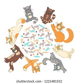 Cats yoga class
