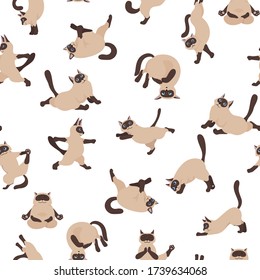 Cats yoga seamless pattern. Siamese cats. Different yoga poses and exercises. Vector illustration