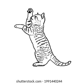 Ilustración del dibujo de la mano del vector de pie en color negro aislado en fondo blanco
