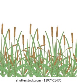 Cattail, bulrush. Texture, background, wallpaper, seamless. Template. Color.