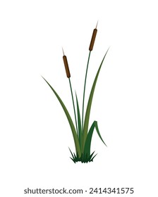 Cattail bush eps 10 format