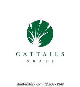 Cattail grass logo design vector illustration