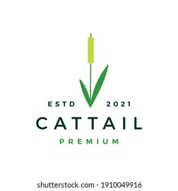 cattail grass logo vector icon illustration