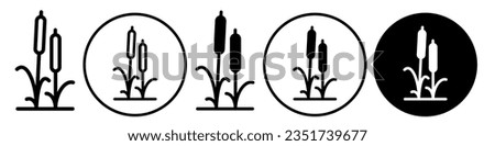 Cattail Icon. Symbol of pond side reed marsh growing plant. Flat vector set of lake or river water side wild swamp grass in outline style