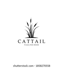 cattail logo vector illustration design, cattail silhouette vector design