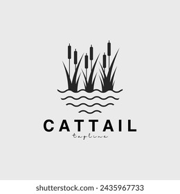 cattail logo vector illustration design