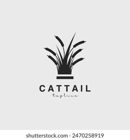 cattail logo vector illustration design
