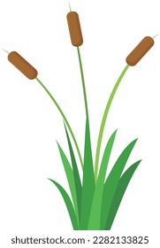 cattail plant with grass vector