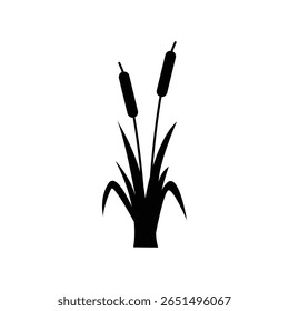 Ícone da Planta Cattail. Silhueta de juncos e juncos. Cattail planta de zona úmida em ícone sólido.