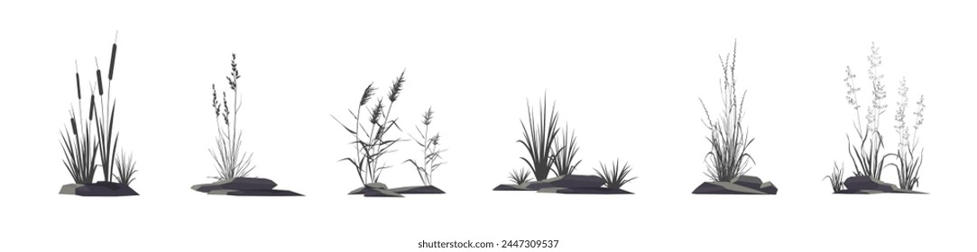 Cattail, reeds, cane, sedge, bluegrass and other marsh and steppe grass - a set of silhouette vector drawings of plants near stones isolated on a white background.