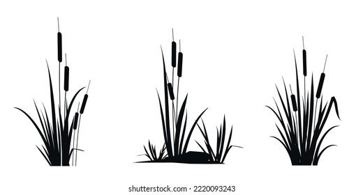 Cattail reeds - a set of silhouette drawings isolated on a white background. Vector icons illustration.