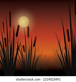 Cattail reeds silhouette against the red evening sky at sunset. Bright colorful vector lake (river) landscape.