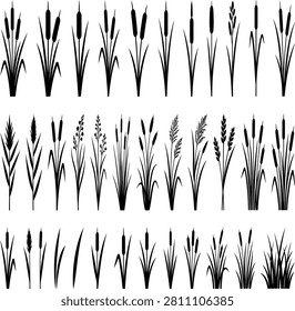 Cattail and reeds silhouettes set, swamp and lake grass vector collection.