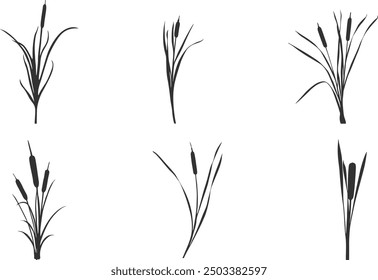 Cattail silhouette, Cattail plant silhouette,  Reeds and cattail silhouette