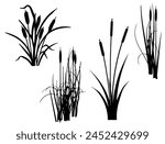 Cattail silhouette vector art white background